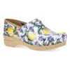 Dansko Professional Lemons Patent