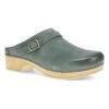 Dansko Berry Green Burnished Leather