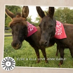 Dansko Jenni Earle Bandana -Dansko Shop JenniEarleBandana2400x2400 5