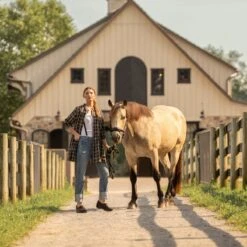 Dansko Professional Black Oiled -Dansko Shop Pro Black Oiled 2400x2400 bfa84f7d d2c7 4c6b ad4a 68c9c45e6929